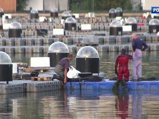 � ��������� ������� ������ ��������� ��� ��������� "���� �����"