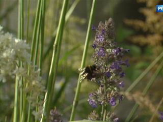 ������ ��������� � ������ ��������� "��������� ����"