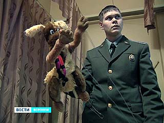 �������� ����� ������������ �� �����������