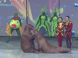 ���� ��� �����: �� ���� ������� �������� � ������ �����������