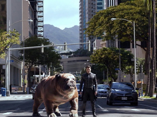 ��������� "��������� ����" �� 2 �������� 2017 ����