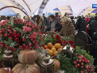 � ���������� ������ � ������ ������ ����������������� �������