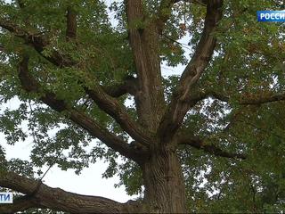 ���-�����������: ��������� �������� �������� � ��������