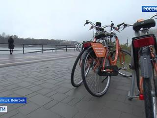 � ��������� ��������� ����� ������