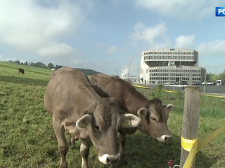 �����-������. ���� �� 27 ������ 2018 ���� (11:40)