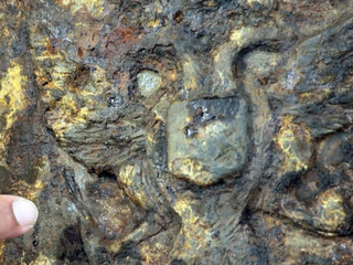 � �������� ���� ����� ������� ������� XVIII ����