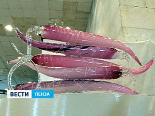    IV     