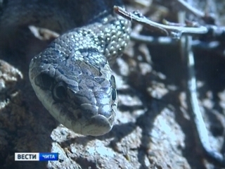 ���������� ����� ������� ����������� �� �����������