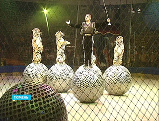 � �������� 21 ���� ��������� ������ ���� �������� ��������