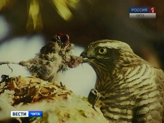 ������ ��������� � ������ ���������� ����� ������� ���������� ��������� ������� � ����