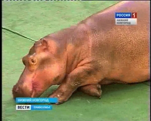 � ������������� ����� ������� ��������