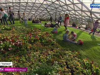 �����-������. ���� �� 24 ������� 2017 ���� (08:45)