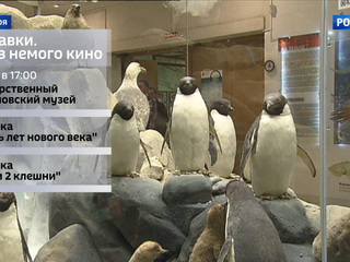 ������ ������������� �����, ������ �������� � ��������� ������������: ���� ����� � ��������?