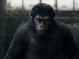 ������� ����: ������� ����� ����� ������������� ������� ��������