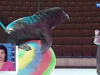 �������� ������ ��������� �� ������ �������� ����������� �����