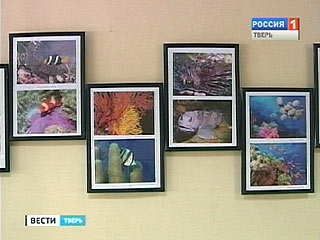 �������� ������� ����������� ��������� ����������, ��������� � �������� �����