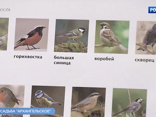 �����-������. ���� �� 2 ������ 2018 ���� (08:35)