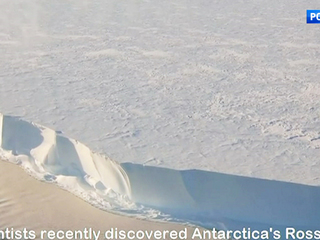 � ���������� ������� "������" �������